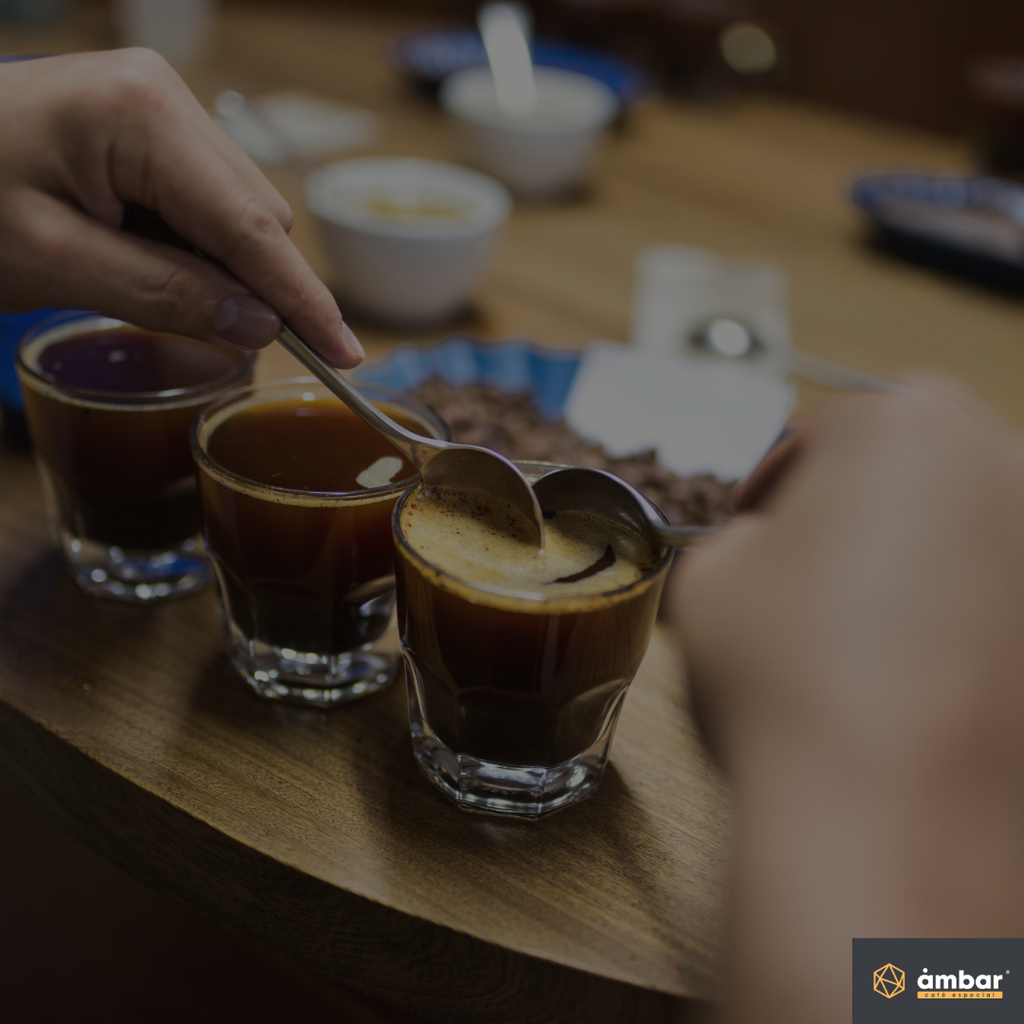Cata de cafés de especialidad